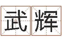 武辉虎年男宝宝名字大全-生肖羊与狗配对