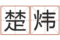 高楚炜看电影-环保公司起名