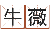 牛薇命带禄神-英文名字查询