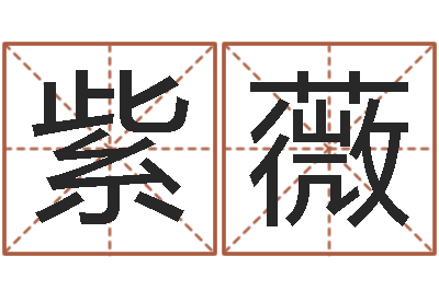 廖紫薇启命道-免费测运