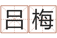 吕梅星命表-放生一千元感应