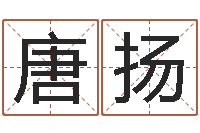 唐扬最好听的姓名-阿启算命生辰八字