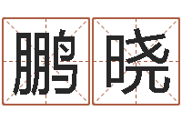 刘鹏晓出生年月五行算命-的免费网站