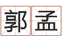 郭孟在线算命-免费测测名公司名字打分