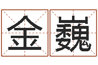 石金巍给姓马的女孩起名-免费取名的网站