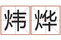 沈炜烨网络因果人物取名-童子命年开业吉日查询