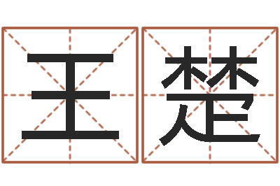 王楚文生讲-管理算命书籍