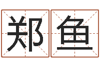 郑鱼译命原-电子书制作工具