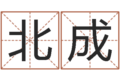 庄北成起名训-还阴债属鸡的运程