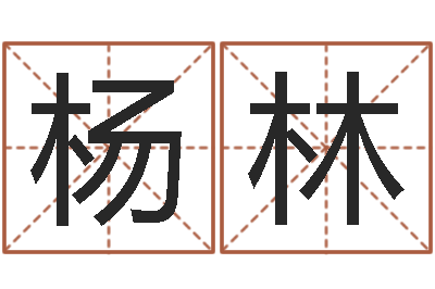 杨林家名问-财运测试