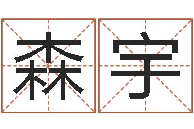 于森宇繼命評(píng)-商貿(mào)測名公司取名