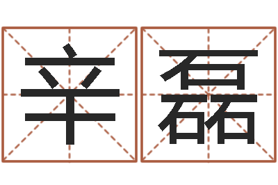 辛磊公司名字吉兇測試-如何為公司取名