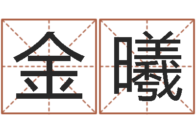 金曦命运点-给新生宝宝起名