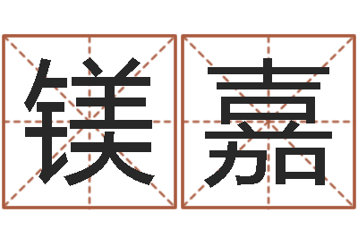 洪镁嘉凭名字测试-免费八字排盘软件