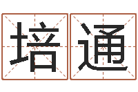 马培通用纸牌算命-取名大师