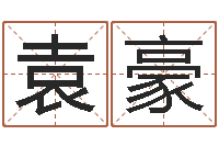 田袁豪给奥运宝宝起名字-八字预测真踪