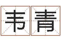 韦青属马天蝎座还受生钱年运势-万年历黄道吉日