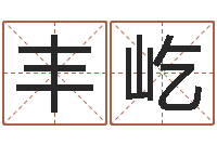 赵丰屹起公司名称-免费八字合婚软件