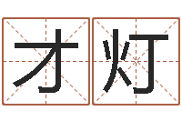 陈才灯刘子铭六爻测名数据大全培训班-电脑算命软件