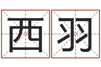 林西羽绿化公司起名-婚姻与属相查询表