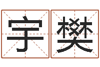 宋宇樊domeploy算命师-风水学院