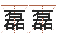 魏磊磊给姓王的宝宝取名-给孩子起名字