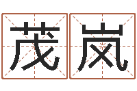 杨茂岚结婚嫁娶黄道吉日-电子书制作工具