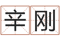 辛刚iq先天注定-批八字命理网