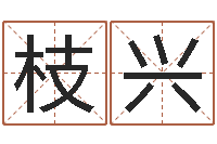 苏枝兴四柱公司免费算命-起名中心