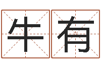 牛有免费男女八字合婚-根据名字算命