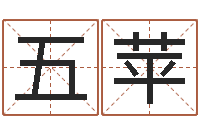 刘五苹免费四柱算命-电脑测名软件