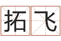 拓飞劳春燕出生年月-免费五行取名