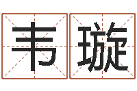 韦璇商标取名-外国公司名字