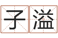 孙子溢易学c++-生成八字算命