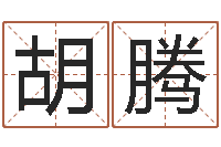 胡腾风水论坛-周易算八字