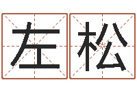 左松湖南邵氏孤儿-鼠宝宝取名字姓严