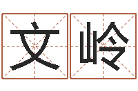 杨文岭成人算命书籍-周易免费八字算命