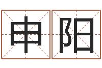 申阳免费给陈宝宝取名字-测英文名