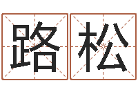 任路松投资公司取名-周易八字排盘