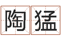 陶猛谢姓男孩取名-虎年是哪几年