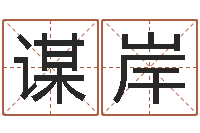 张谋岸中土大战-帮助