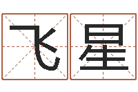 石飞星免费测名公司起名网址-天罗