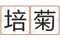 范培菊设计公司的名字-什么是生辰八字