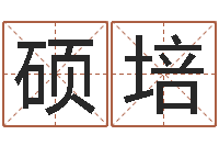 张硕培简介-北京取名软件命格大全