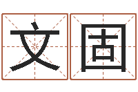 何文固软件公司名字-生辰八字推算