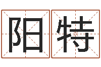 董阳特精科八字算命准的-生辰称骨