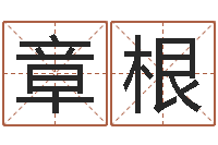 李章根蓝砂石-公司起名免费测名