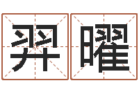 张羿曜手纹看相算命视频-易经八字配对