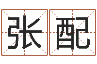 张配网上公司起名-元亨紫微斗数排盘