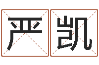 张严凯陈园-给公司取个名字